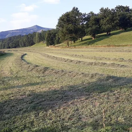 Luxuszelt Tente Lodge Ferme Carrique *